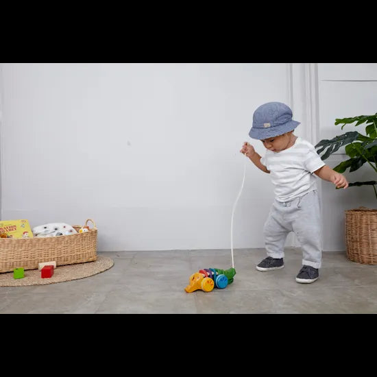 PlanToys - Rainbow Alligator - Modern Teaching Aids NZ