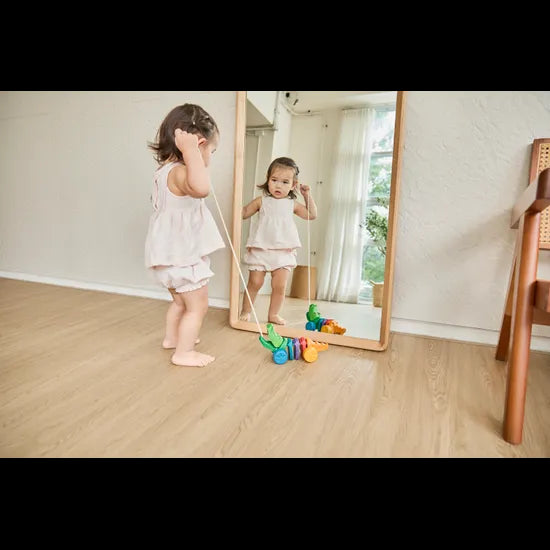 PlanToys - Rainbow Alligator - Modern Teaching Aids NZ