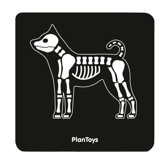 PlanToys - Vet Set - Modern Teaching Aids NZ