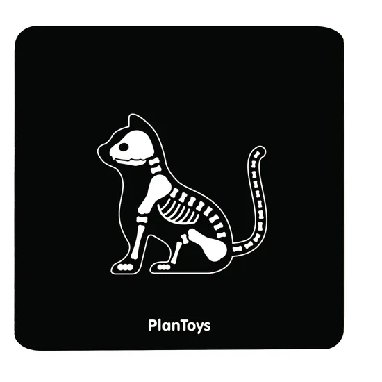 PlanToys - Vet Set - Modern Teaching Aids NZ
