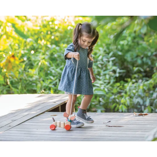 PlanToys - Happy Puppy - Modern Teaching Aids NZ