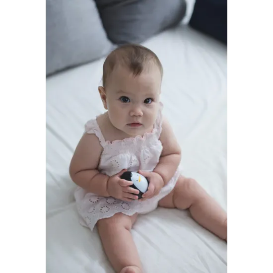 PlanToys - Penguin - Modern Teaching Aids NZ