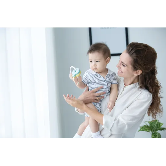 PlanToys - Key Rattle - Pastel - Modern Teaching Aids NZ