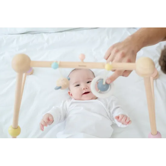 PlanToys - Play Gym - Pastel - Modern Teaching Aids NZ