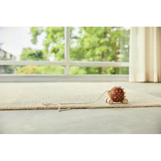 PlanToys - Pull-Along Hedgehog - Modern Teaching Aids NZ