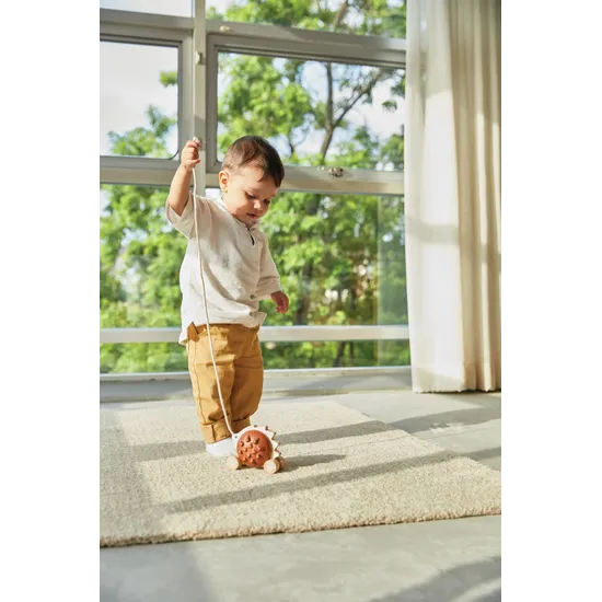 PlanToys - Pull-Along Hedgehog - Modern Teaching Aids NZ