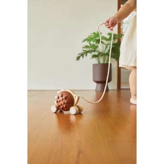 PlanToys - Pull-Along Hedgehog - Modern Teaching Aids NZ