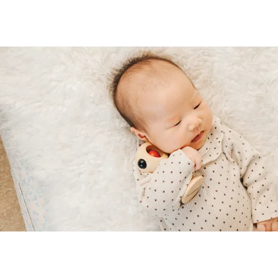 PlanToys High Contrast Shaking Rattle