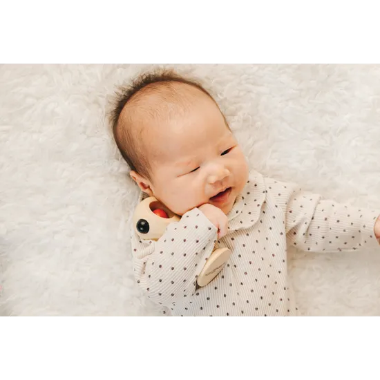 PlanToys High Contrast Shaking Rattle