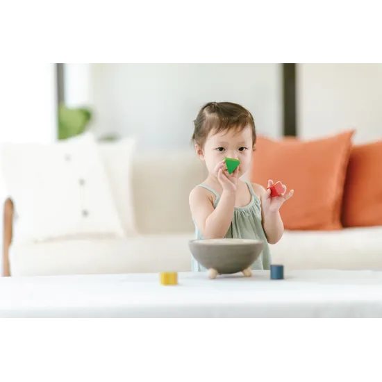 PlanToys - Shape Sorting Bowl - Modern Teaching Aids NZ