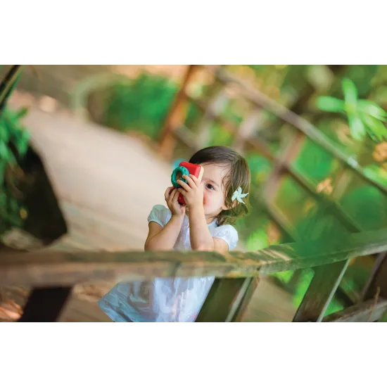PlanToys - My First Camera - Modern Teaching Aids NZ