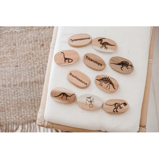 Dinosaur Stones - Modern Teaching Aids NZ