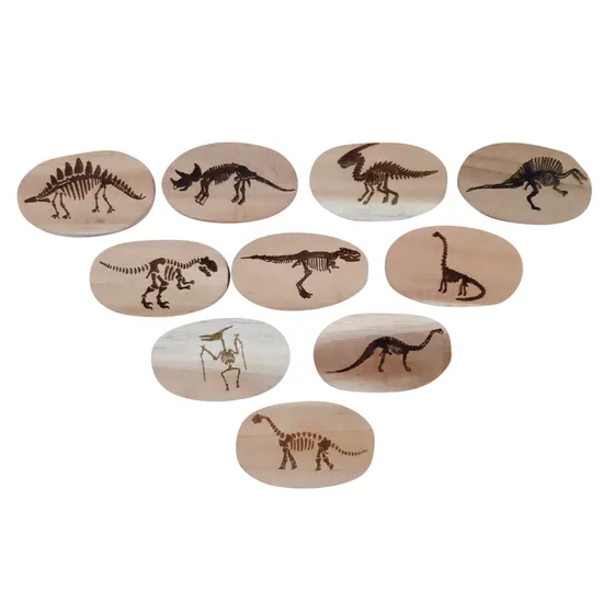 Dinosaur Stones - Modern Teaching Aids NZ