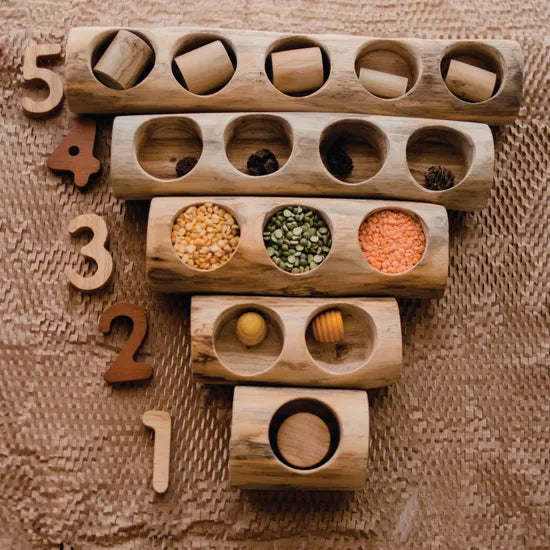 Log Counting and Sorting Trays set of 5 - Modern Teaching Aids NZ