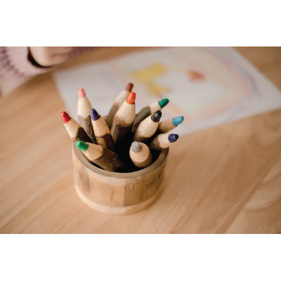 Tree Bark Pencils - Set of 12 - Modern Teaching Aids NZ
