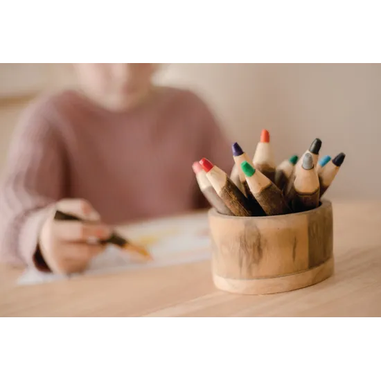 Tree Bark Pencils - Set of 12 - Modern Teaching Aids NZ