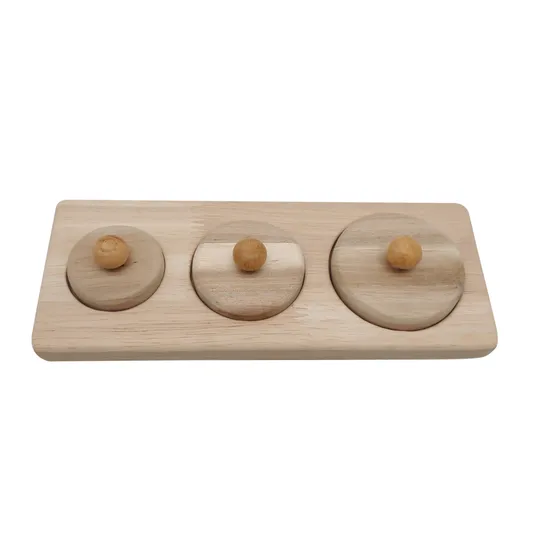 Montessori 3 Circle Puzzle