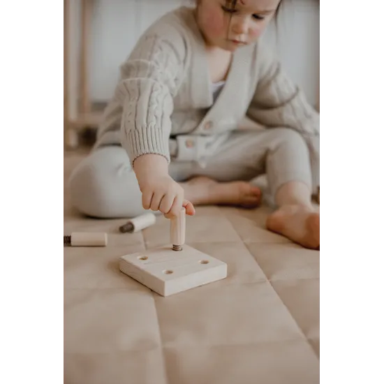 Montessori Screw Game