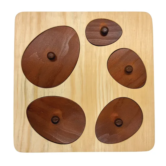 Hen Life Cycle Puzzle - Modern Teaching Aids NZ