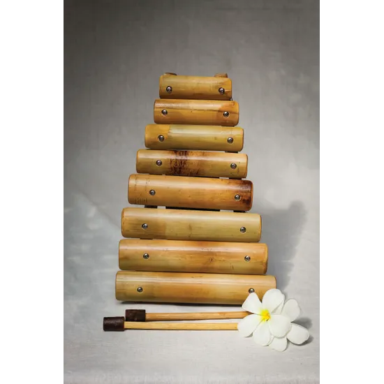 Bamboo Xylophone