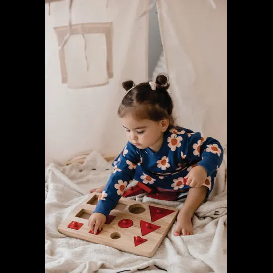 Toddler Knob Shape Puzzle 12Pce - Modern Teaching Aids NZ