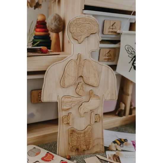 Human Anatomy Puzzle - Modern Teaching Aids NZ