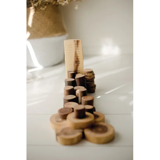 Natural Tree Maths Set with Ruler - Modern Teaching Aids NZ