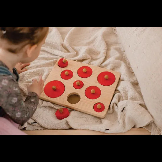 Montessori Circle Size Puzzle 9pce - Modern Teaching Aids NZ