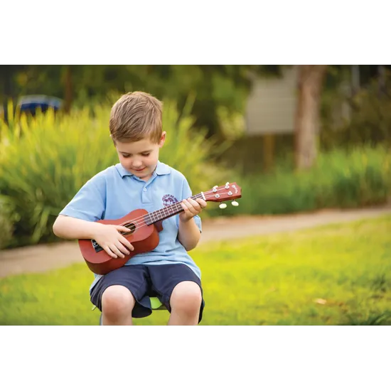 Ukulele - Modern Teaching Aids NZ