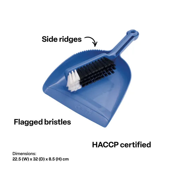 Dustpan and Brush Set Blue - Modern Teaching Aids NZ