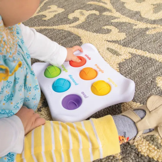 dimpl Duo - Modern Teaching Aids NZ