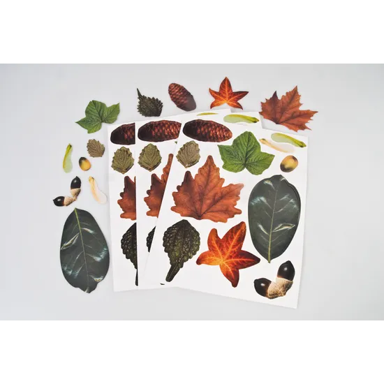 Crafty Leaves Paper Shapes - Pack of 266 - Modern Teaching Aids NZ