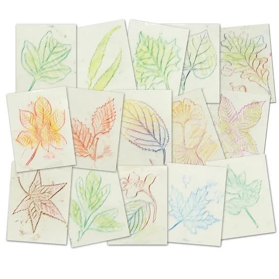 Leaf Rubbing Plates - Set of 16 - Modern Teaching Aids NZ