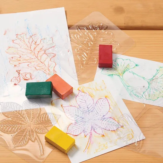 Leaf Rubbing Plates - Set of 16 - Modern Teaching Aids NZ