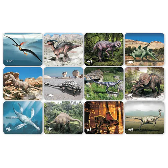Discover Dinosaurs Picture Cards & X-Rays - Modern Teaching Aids NZ