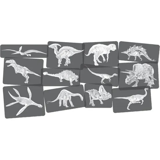 Discover Dinosaurs Picture Cards & X-Rays - Modern Teaching Aids NZ