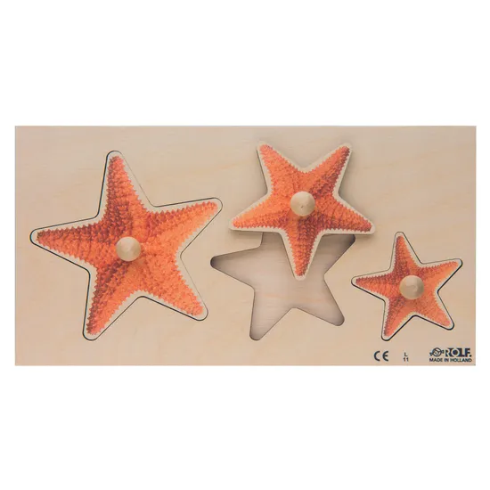 Sea Star Size Sorting Knob Puzzle 3 Pieces