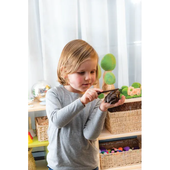 Frog Guiro - Modern Teaching Aids NZ