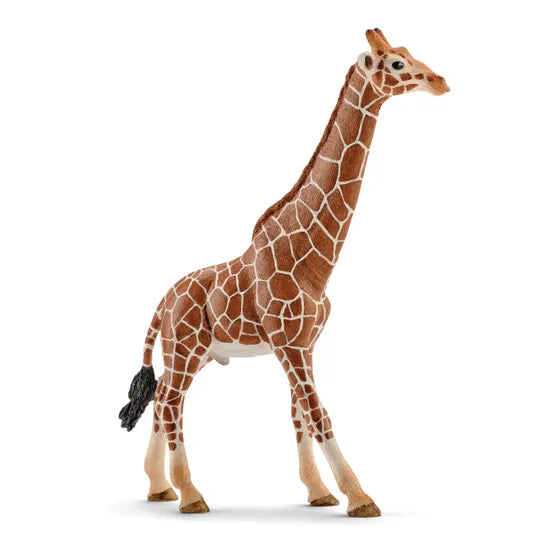Schleich - Giraffe Male - Modern Teaching Aids NZ