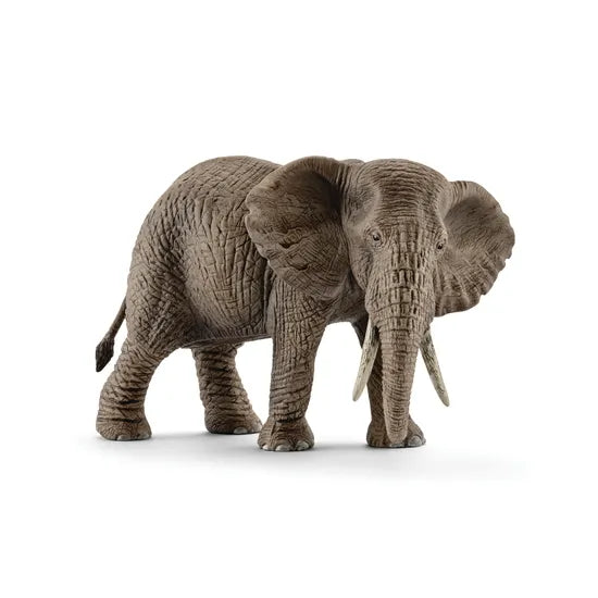 Schleich - African Elephant Female - Modern Teaching Aids NZ