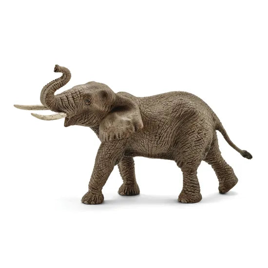 Schleich - African Elephant Male - Modern Teaching Aids NZ