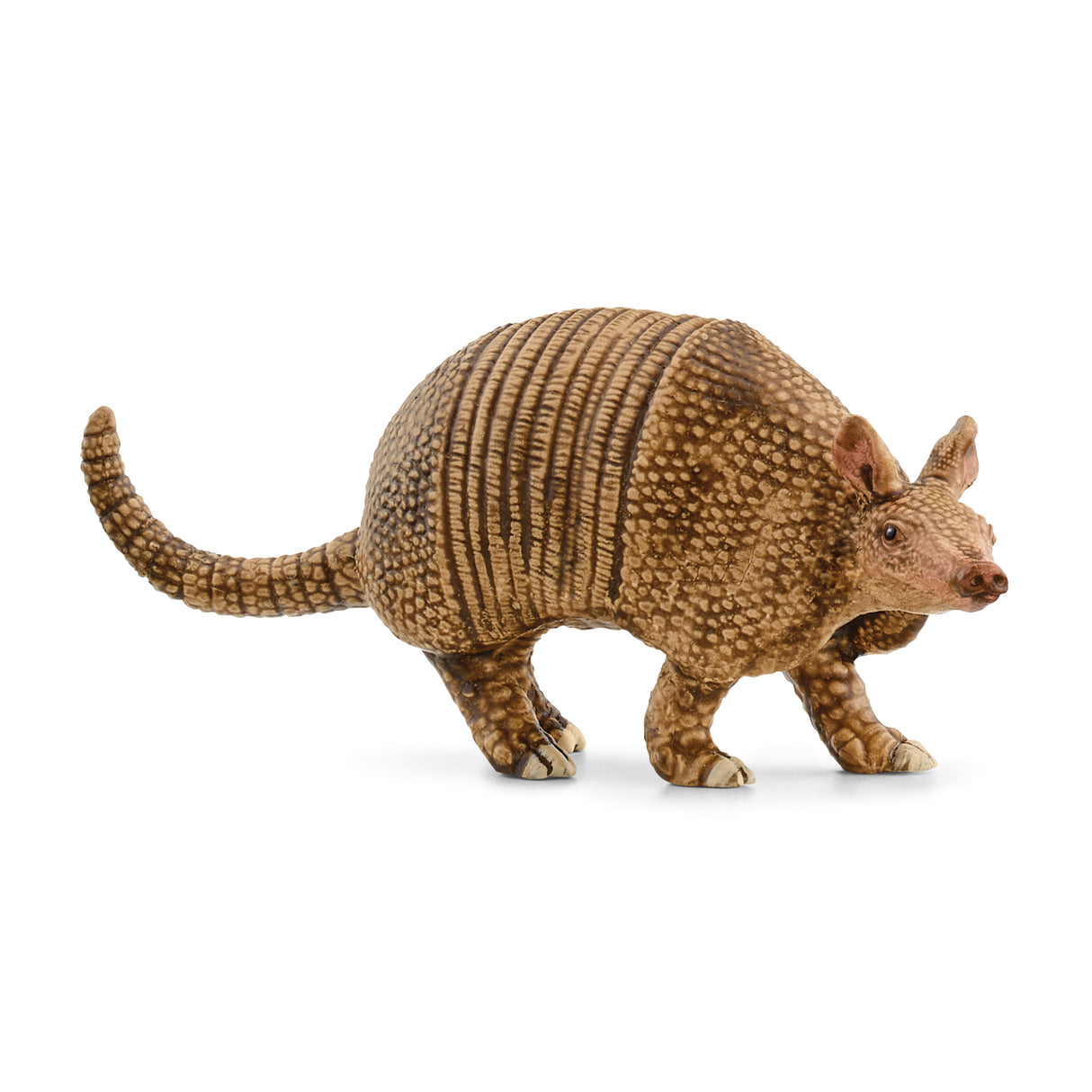 Armadillo Figure - Modern Teaching Aids NZ