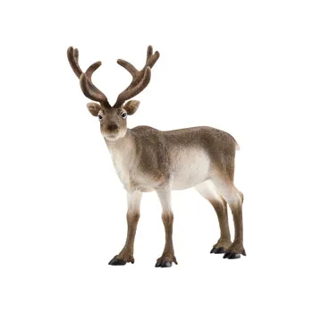 Schleich - Arctic Animals, Set of 8 - Modern Teaching Aids NZ