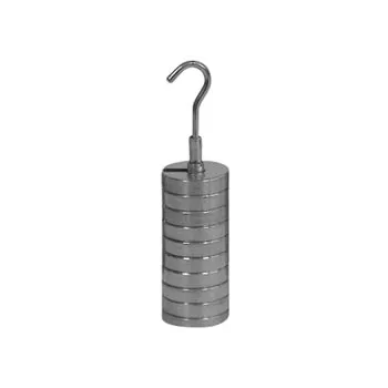 Slotted Weight Set of 9 x 10g with 10g Carrier - Modern Teaching Aids NZ