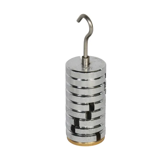 Slotted Weight 9 x 100 g Set -with 100 g Carrier - Modern Teaching Aids NZ