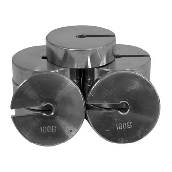 Weight Slotted - 100 g - Modern Teaching Aids NZ