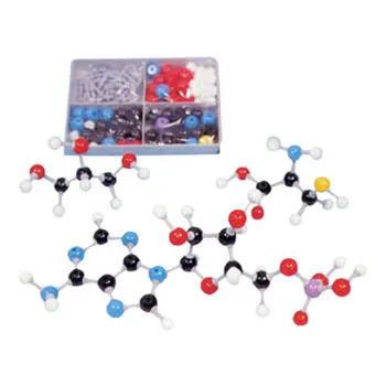 MolecModels3D - Biochemisty Student Set - Modern Teaching Aids NZ