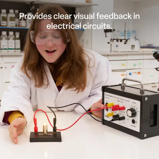 Lamp on Stand - SBC Type Terminals - 12V - 5A - Modern Teaching Aids NZ