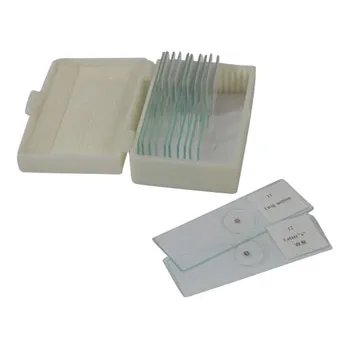 Slide Set - Beginners - Set of 12 - Modern Teaching Aids NZ