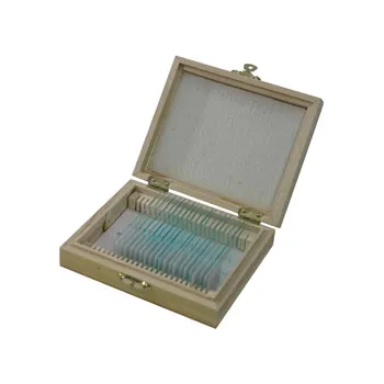 Slide Set - Plant Anatomy Basic - Set of 20 - Modern Teaching Aids NZ